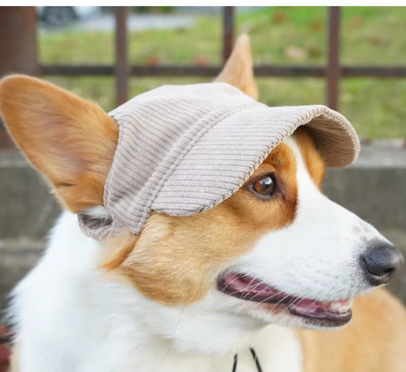 The Classic Cap