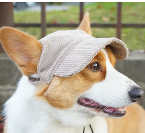 The Classic Cap