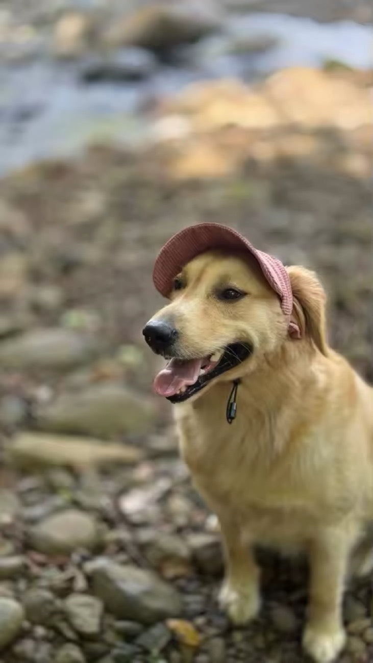 The Classic Cap