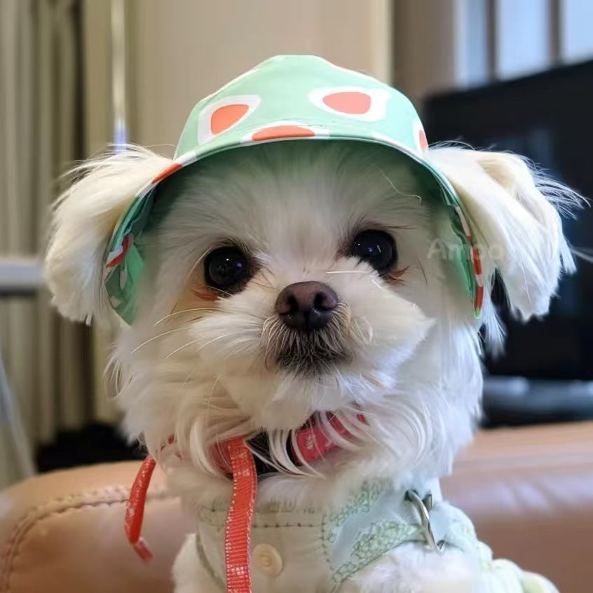 The Bucket Hat