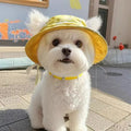 The Bucket Hat